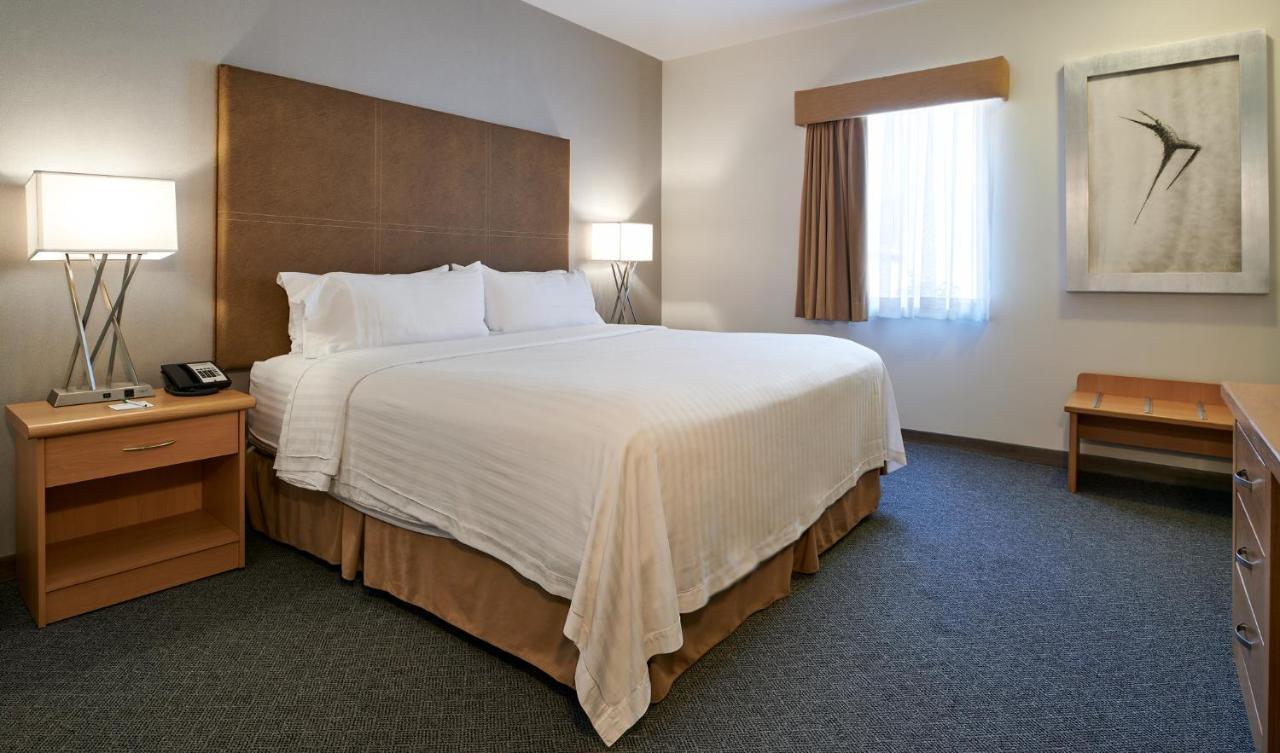 Holiday Inn Hotel & Suites Chihuahua By Ihg מראה חיצוני תמונה